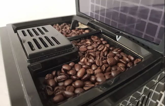 Melbourne by the Botanical Gardens - Foto 5