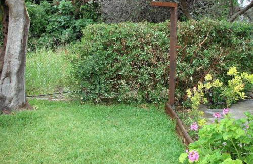 Σοφίτα Μαρτά - Foto 8