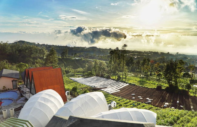 Azana Essence Selo Boyolali - Foto 25