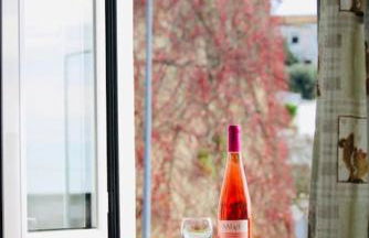 Apartment in Semeador 2 - Foto 17