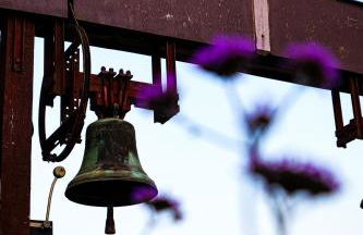 Domaine de la Chambaudière - Foto 30