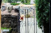 Fantastic sea views at Century's old Alma's Cottage - Sleeps up to 8 guests - Foto 41