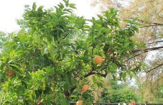 Casa Margherita - Foto 43