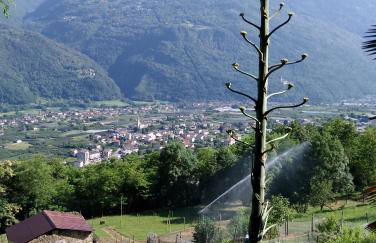 Casa Elena - Foto 47