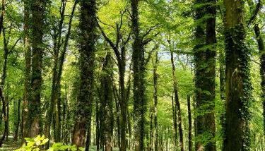 Upper Highview - Self Catering Apartment, fpventures Stroud - Foto 4