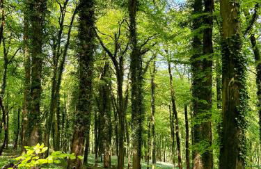 Lyndale House - Exclusive use, self catering, fpventures Stroud - Foto 10