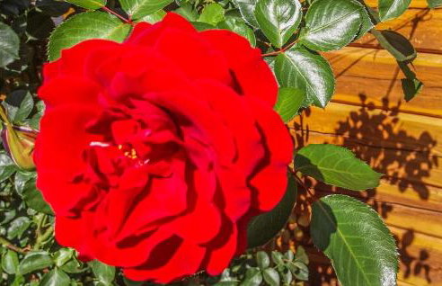 Awesome Home In Osiek With Kitchenette - Foto 14