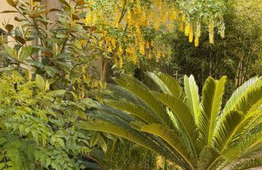 Villa des dames 40m2,jardin fleuri - Foto 3