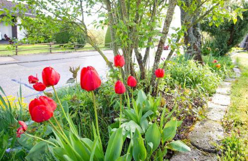 Schöne und helle Ferienwohnung in Pfaffenweiler - Foto 23