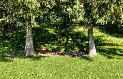 Agriturismo Malga Riondera - Foto 6