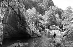 M Butterfly - Foto 50