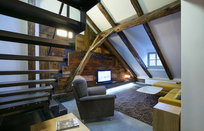 Apartments At The Blue Duckling - Photo 20