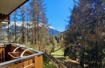 Stelviostay Residence Stelvio - Photo 39
