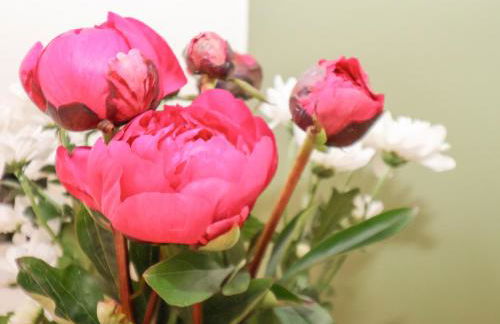 The Nail Shed - Foto 12