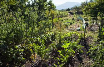 Reitoral de Chandrexa - Foto 77