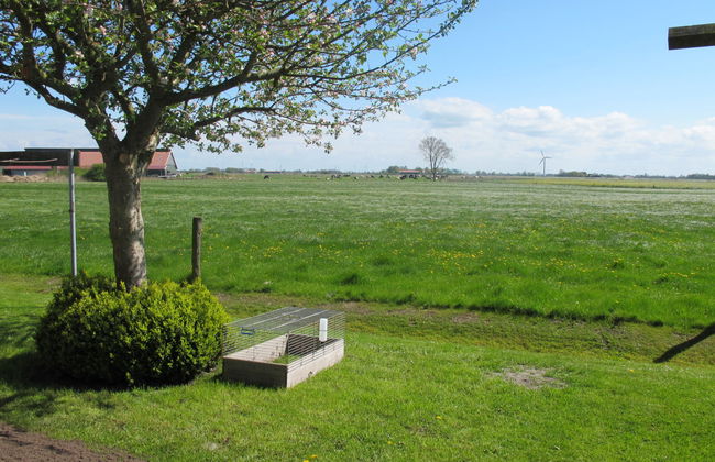 Rosenboom - Photo 20