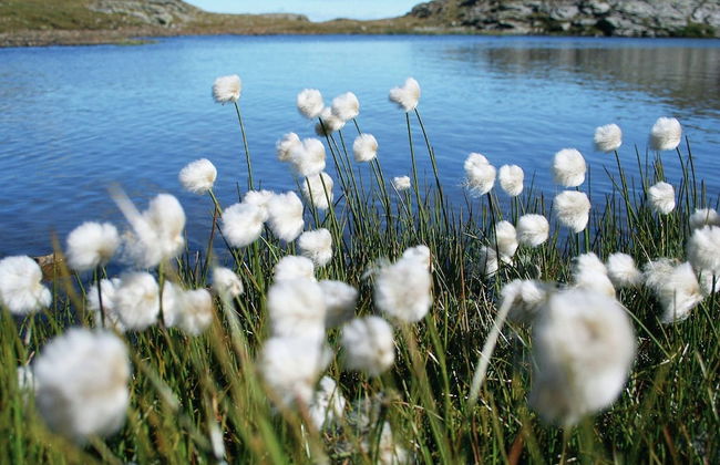 Child-friendly Apartment With Sauna - Foto 29