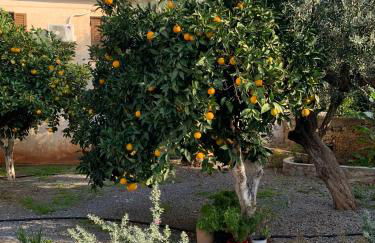 Zacharos Elegant Studio - Foto 19