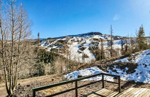 Eagle Roost Retreat By Ski Lifts - Foto 34