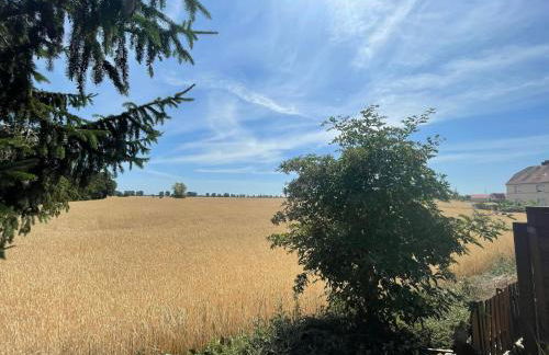 Börde-Apartment 4 - Foto 17