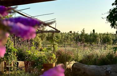 Tenuta Di Paternostro - Foto 40