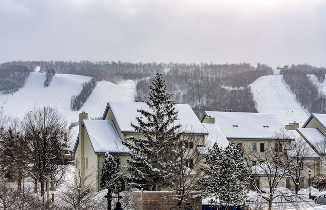 Blue Mountain - Photo 37