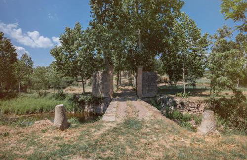 Cottage in Castellnou With Forest Trails - Foto 55