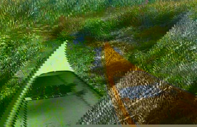 Charming 6 Bedroom House & Horse Farm - Sleeps 12 - Foto 19