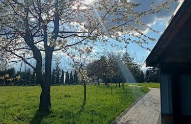 Drewniany domek na wynajem Beskid Wyspowy - Photo 5