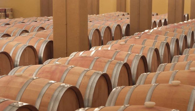 Bodegas Romale Wine Tour - Foto 5