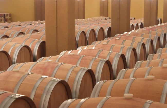 Visita alle cantine Romale - Foto 5