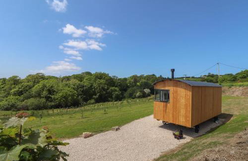 Little Pip - Foto 24