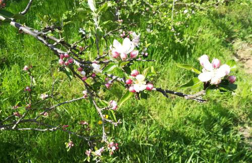 200 Years of History - Foto 29