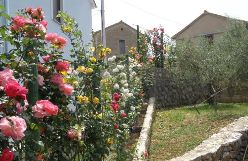 Villa Roze - Foto 55