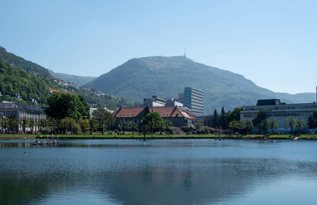 Bergen Electric Bike Tour - Foto 6