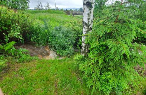 Domki Dzika Orlica - Foto 37