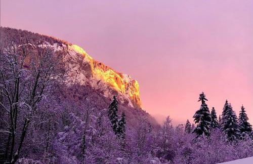 Appartement dans maison familiale - Foto 27