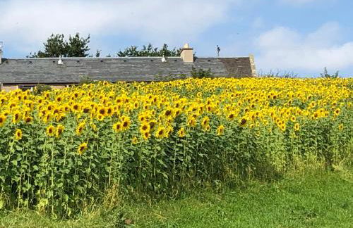 Garden Bank Cottage - Foto 5