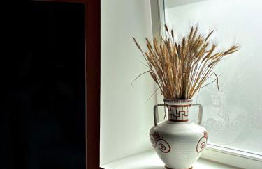 Nomad Houses - Casa Terra - Foto 6