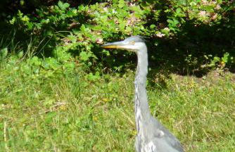 Ferienwohnung am Krippenhof - Foto 27