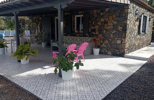 La Palma Wild Life - Foto 18