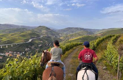 Quinta do Valdalágea - Foto 6