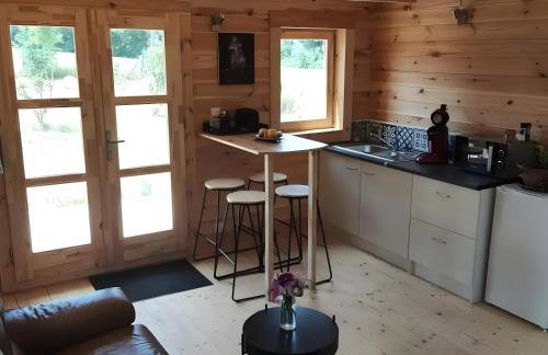 Au chant des oiseaux - rouge gorge - Foto 4