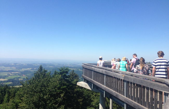 Ferienwohnung in Bernhardsberg Nahe Skipisten - Photo 38