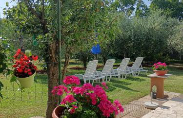 Apartment Greta - Photo 26