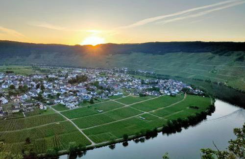 Garden Eden - Foto 39