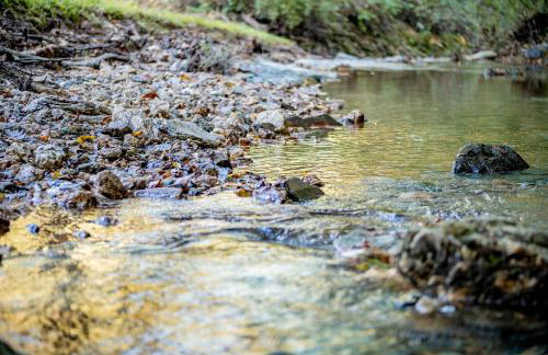 Hot Tub - Fire Pit - River - State Park - King Bed - Foto 48