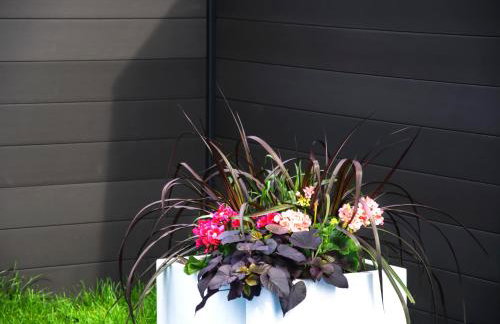 Apartamenty Olivia - Foto 46