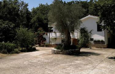 Agriturismo Parco dai Nonni - Foto 28