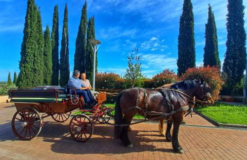 Agriturismo Gli Archi - Foto 7